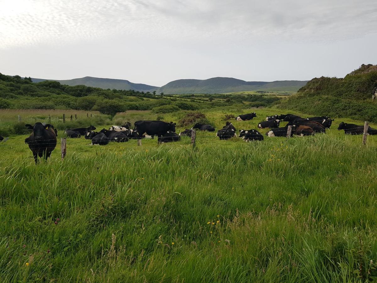 Traditional Irish Farmhouse Anascaul Eksteriør bilde